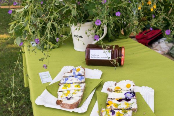 020 Familienfest 2015 5033 020 Familienfest 2015 5033