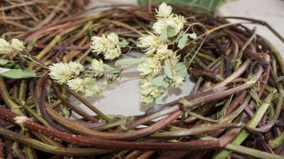 Lange Nacht der Wildkraeuter 2016 077