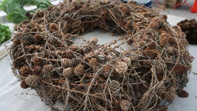 Lange Nacht der Wildkraeuter 2016 081