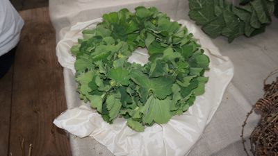 Lange Nacht der Wildkraeuter 2016 083