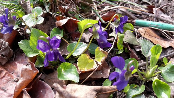 angelika nowacek 11 angelika nowacek 11