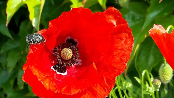 angelika nowacek 15 angelika nowacek 15