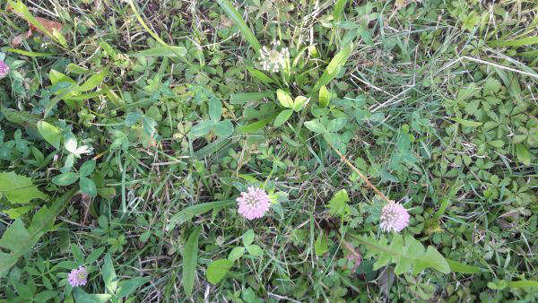 angelika nowacek 18 angelika nowacek 18