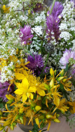 angelika nowacek 20 angelika nowacek 20