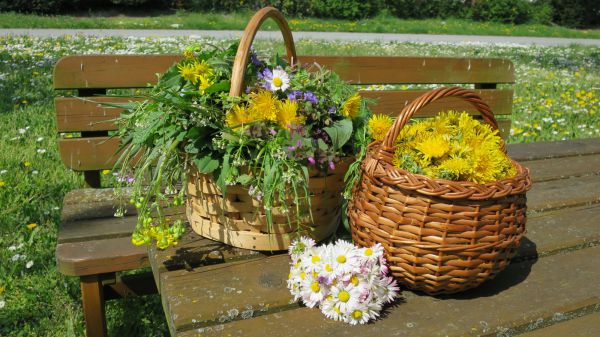 angelika nowacek 28 angelika nowacek 28