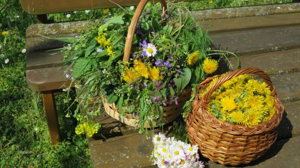 angelika nowacek 30 angelika nowacek 30