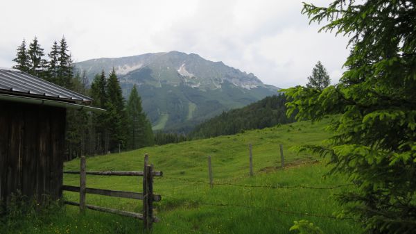 angelika nowacek 36 angelika nowacek 36