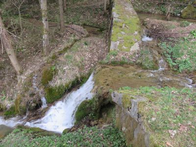 franz hoebarth tuffstein im bach